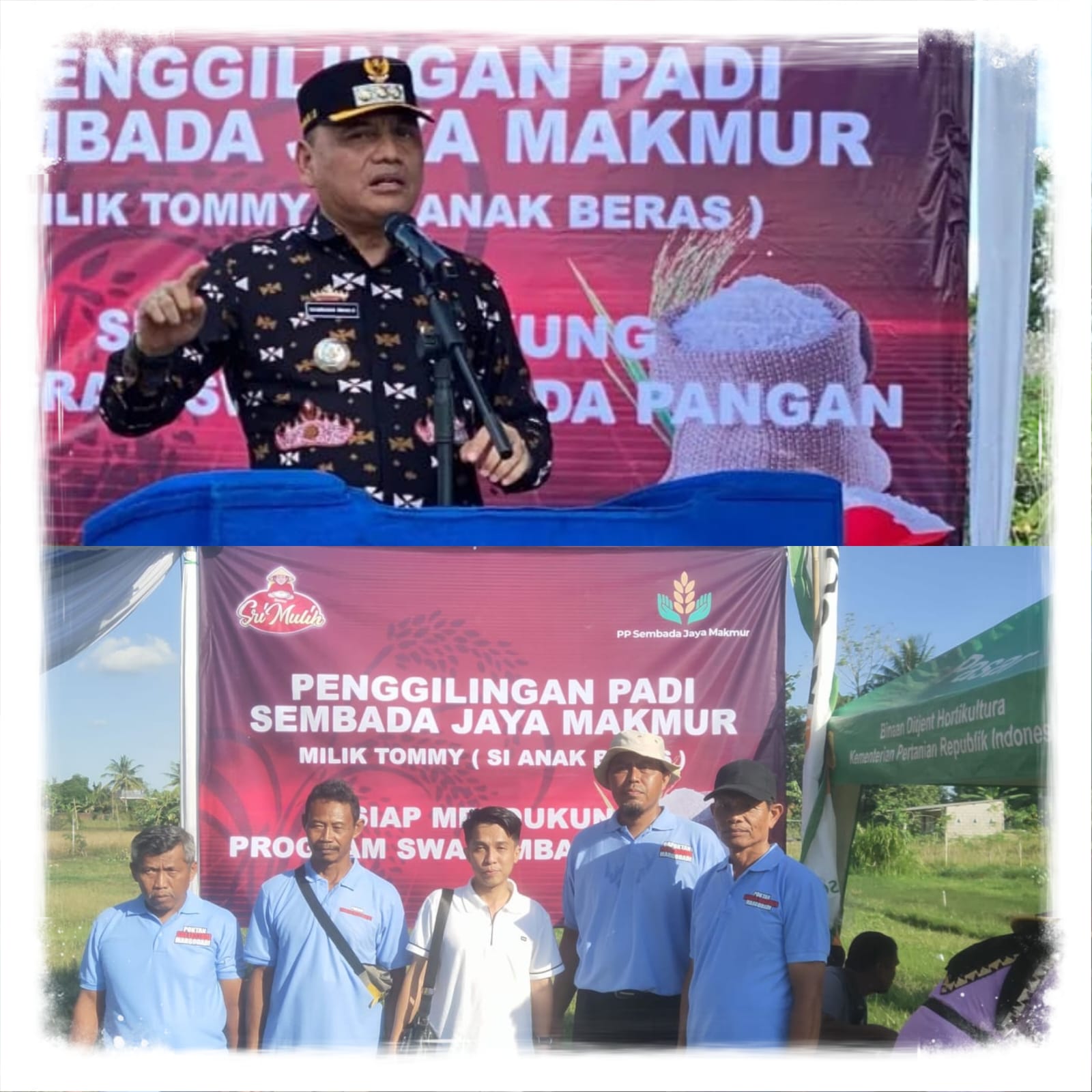 Bersama Gapoktan Panca Boga, Tommy Si Anak Beras Dukung Swasembada Pangan