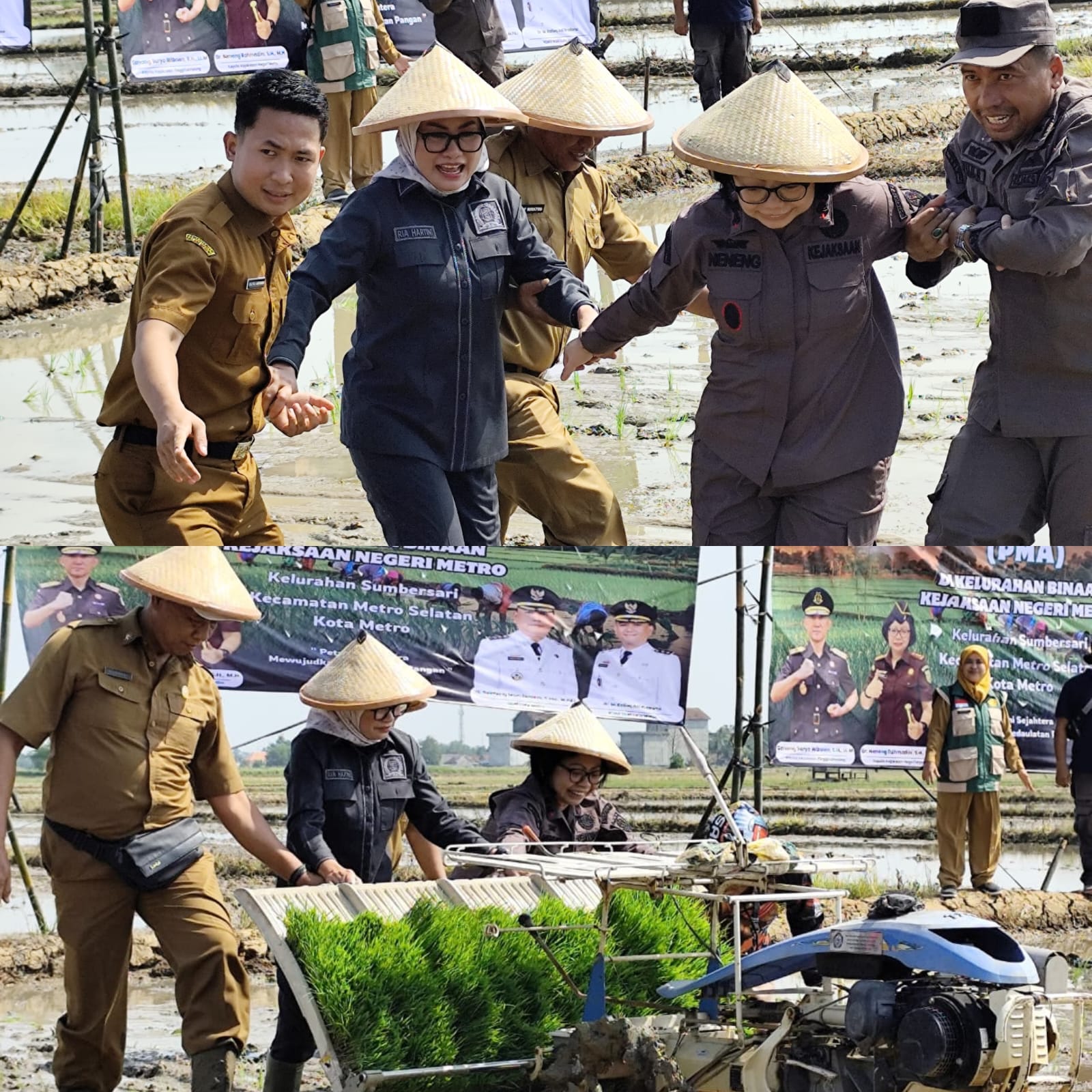 Ketua DPRD Metro dan Kajari Berjibaku dengan Lumpur demi Petani dan Ketahanan Pangan